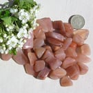 10 Peach Aventurine Crystal Polished Tumblestones, Craft, Mosaic, Grid, Chakra