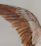 Swallow - Image 2
