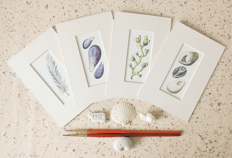 Seconds Sunday set of four ink and watercolours feather, pebbles, seaweed, shell