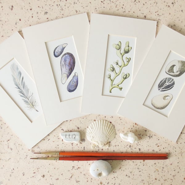Seconds Sunday set of four ink and watercolours feather, pebbles, seaweed, shell