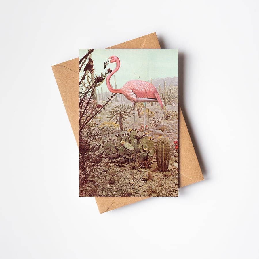 Bird Card - Wild Flamingo