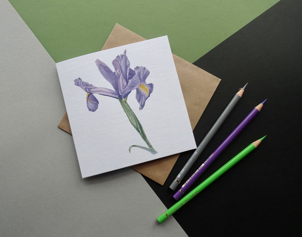 Greeting Card - Purple Iris Flower