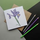 Greeting Card - Purple Iris Flower