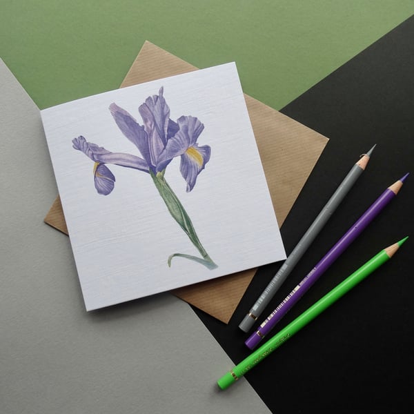 Greeting Card - Purple Iris Flower