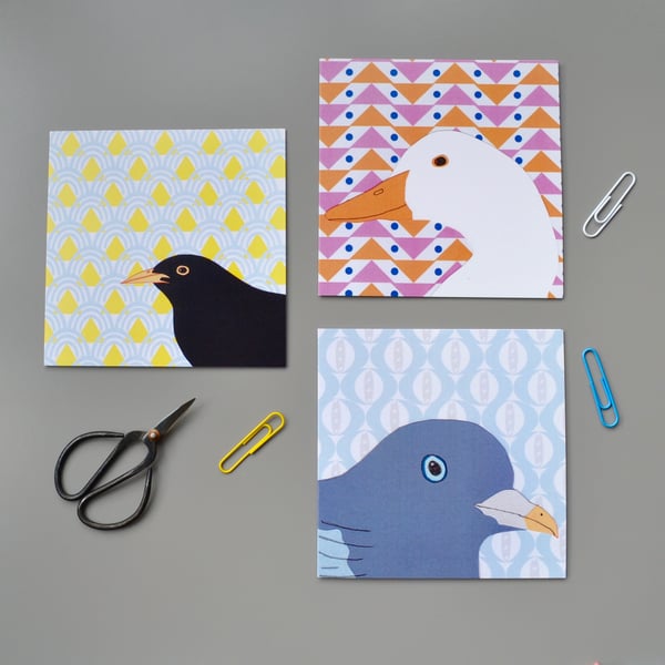 Multipack British Birds Blank Cards - Goose, Pigeon, Blackbird