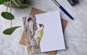 Cards