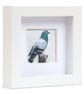 Pigeon, little 3D fabric pigeon picture framed, pigeon gift, pigeon ornament