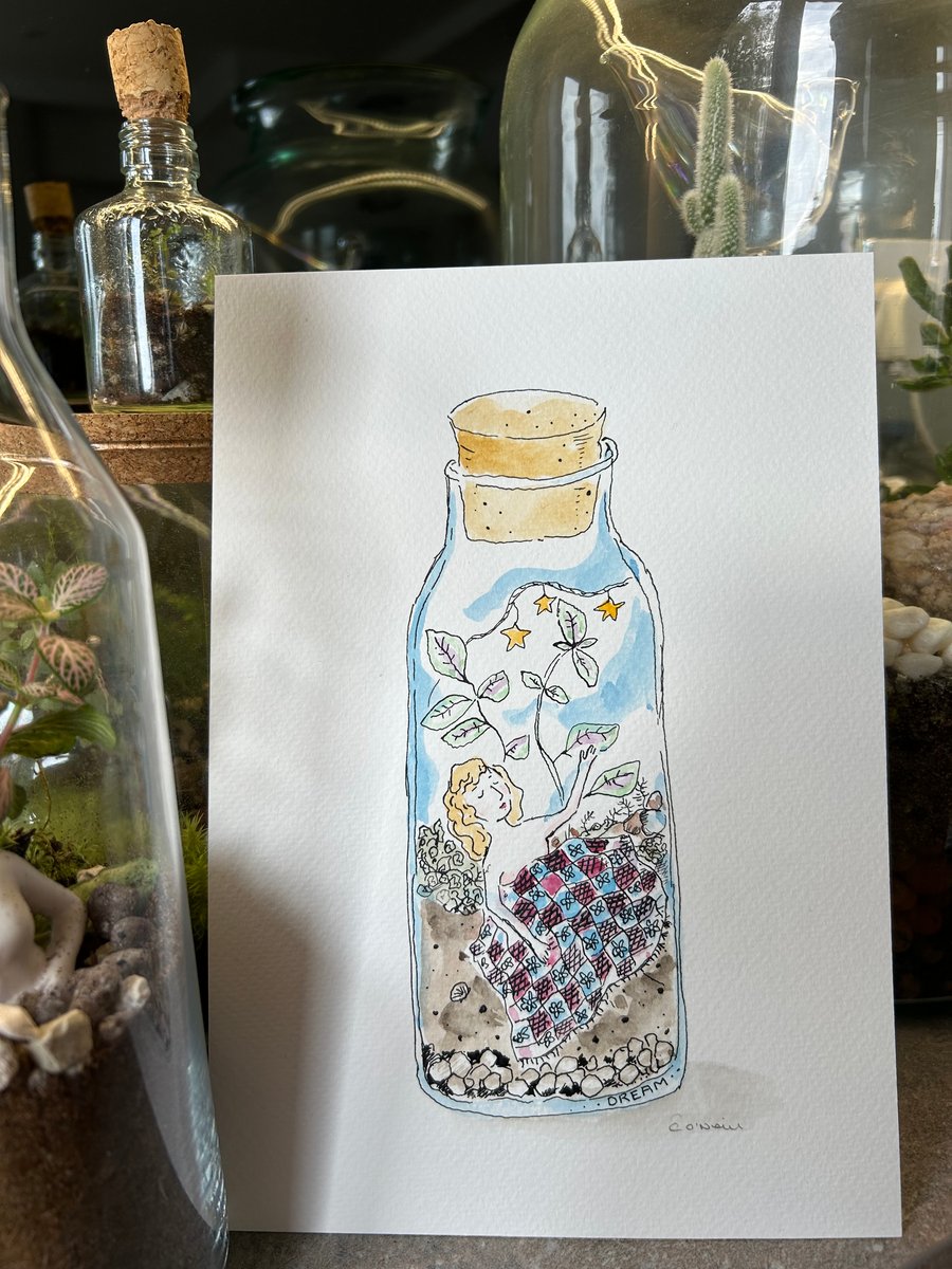 Dream Terrarium  -  Original Water Colour and Ink drawing