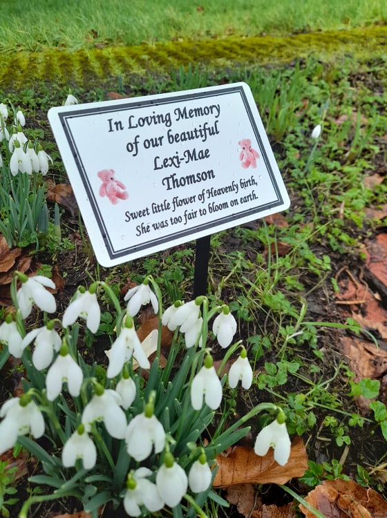 Memorial Grave Plaque Baby Grave Plaque baby Remembrance plaque grave marker