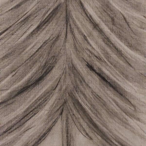 Trees make me Breathe 