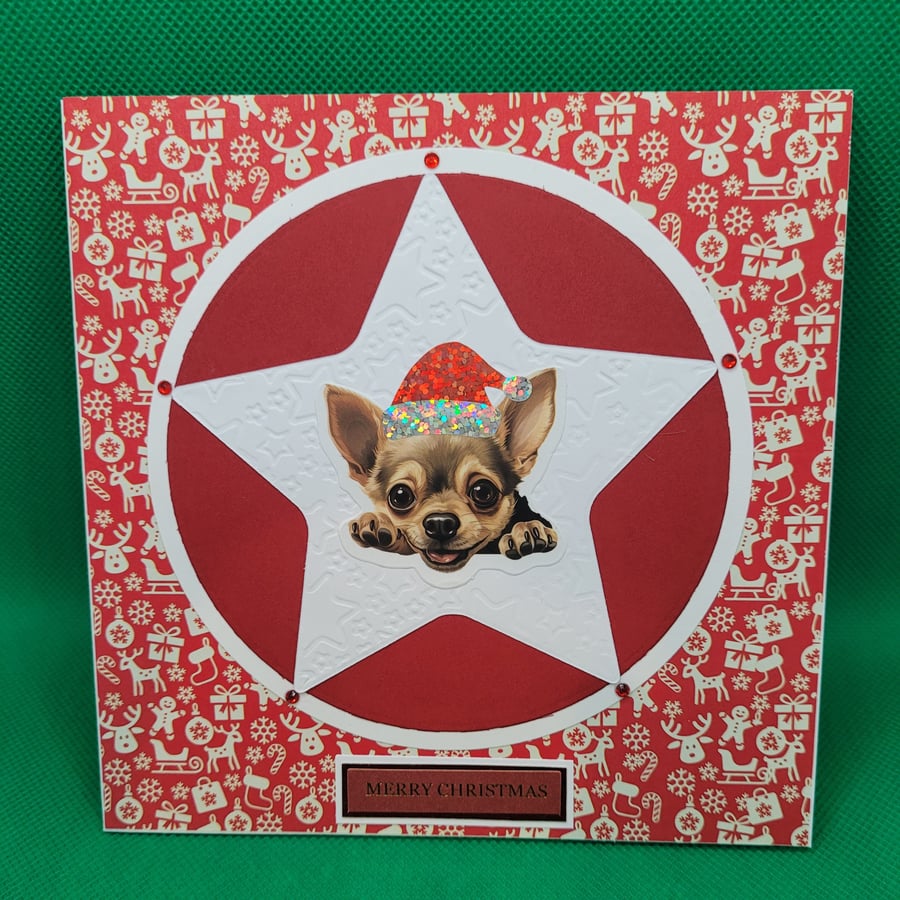 Xmas Star Dog Christmas Card Chihuahua