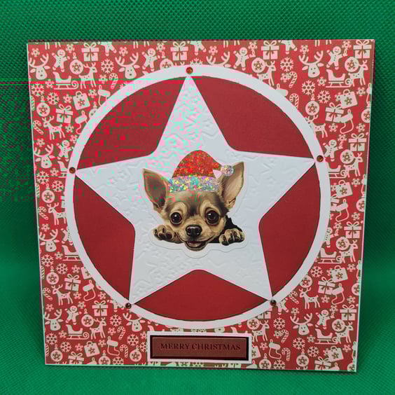Xmas Star Dog Christmas Card Chihuahua