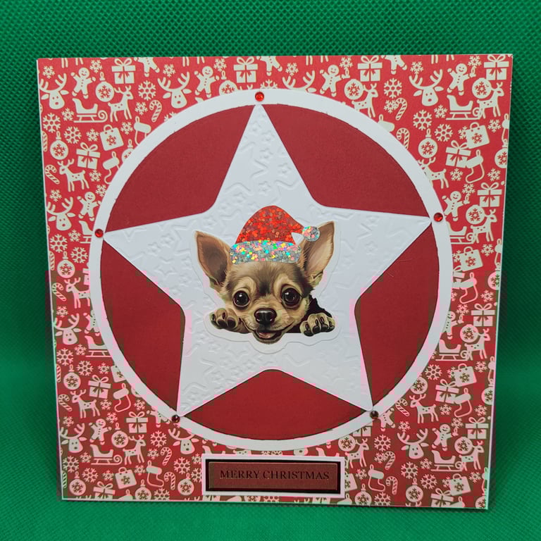 Xmas Star Dog Christmas Card Chihuahua