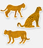 Leopard Sticker Pack 
