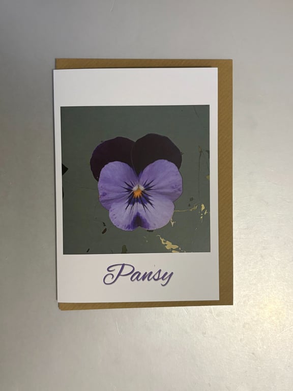 Pansy A5 Greeting Card 