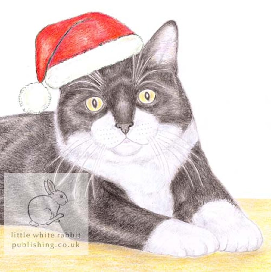 MIittens the Cat - Christmas Hat Card