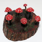 Unique woodland limpet shell and driftwood fairy ring scene ornament