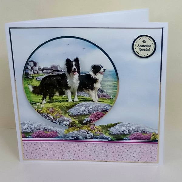 Border Collie Card, To Someone Special 