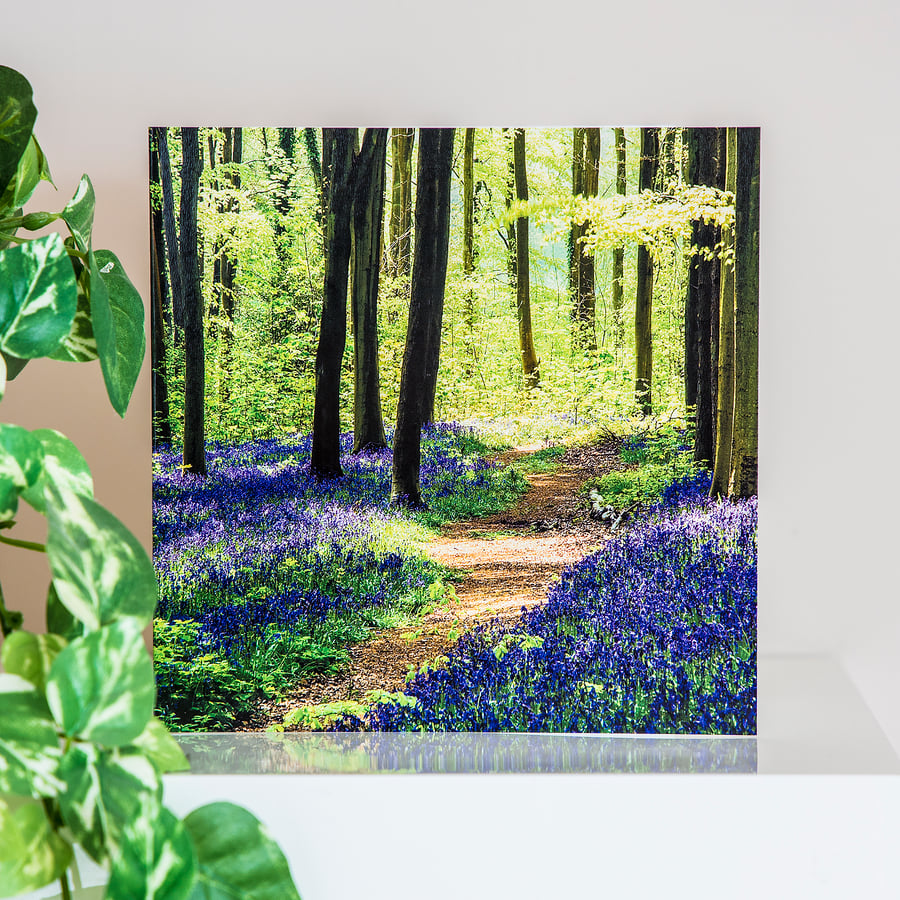 Bluebell Woods Blank Greetings Card wildflowers spring wildflowers woodland UK  