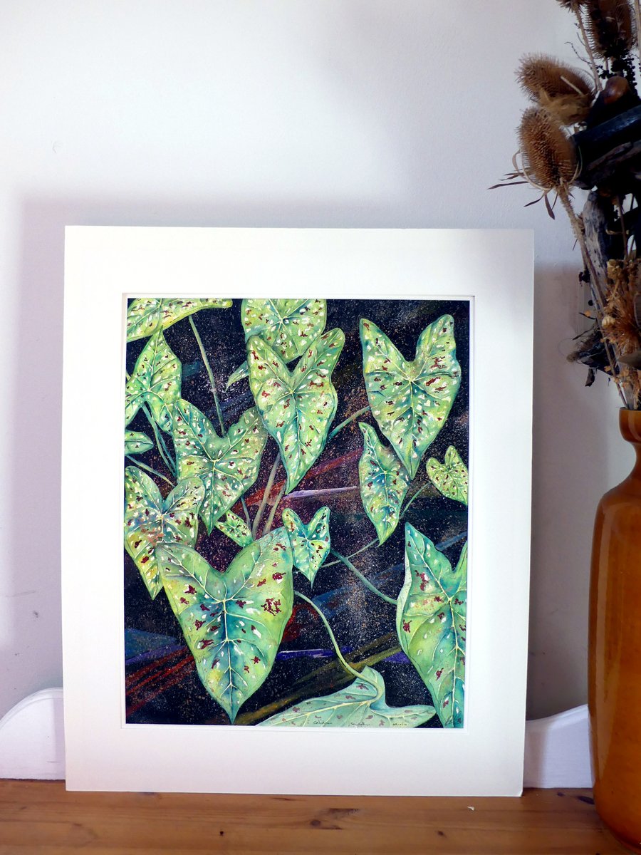 Green Caladium Leaves Tropical Plant  Botanical Watercolour Original Painting