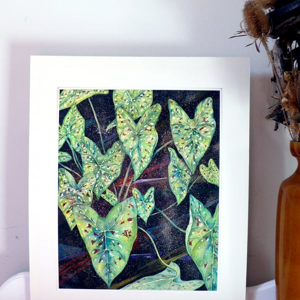 Green Caladium Leaves Tropical Plant  Botanical Watercolour Original Painting