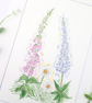 Foxglove, Daisy and Lupin original watercolour flower painting - Image 6
