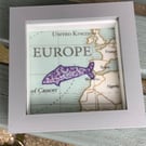 Hand Embroidered Picture of Minky Whale