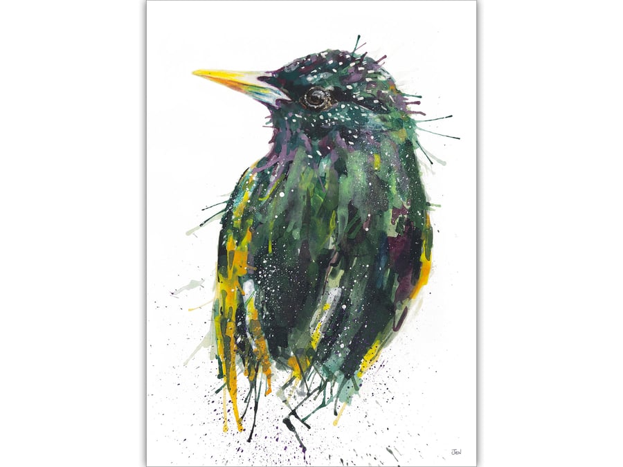 Starling watercolour print, bird painting, British wildlife