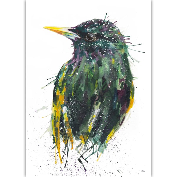 Starling watercolour print, bird painting, British wildlife