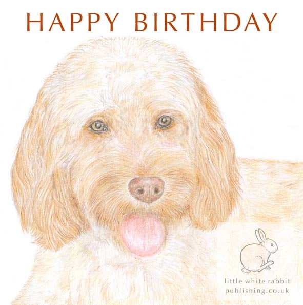 Bella the Cockapoo - Birthday Card