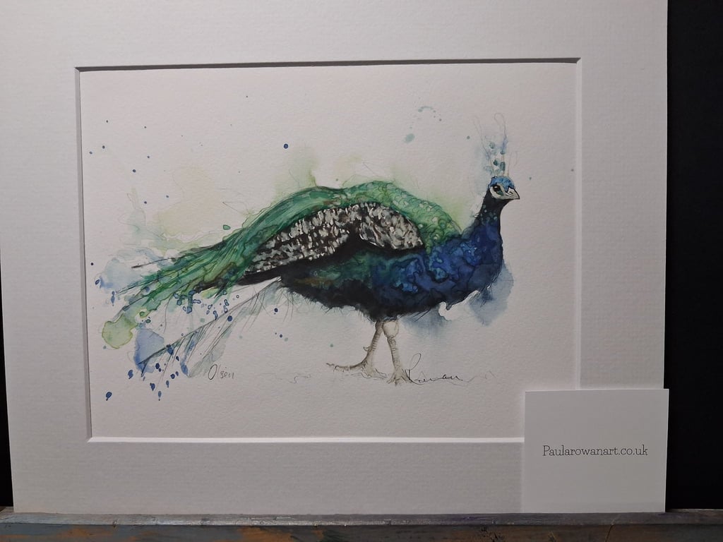 Peacock Art Print 