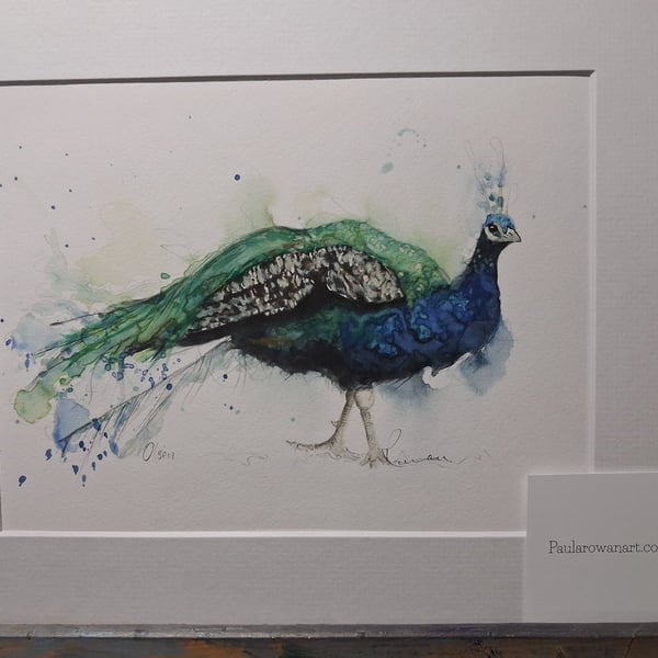 Peacock Art Print 