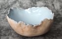 Ancient Seas Collection