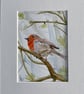 Robin in Spring bird (original watercolour painting) - Image 2
