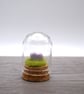 small glass heart cloche jar keepsake