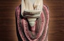 Cowls