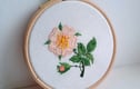 Embroidered pictures