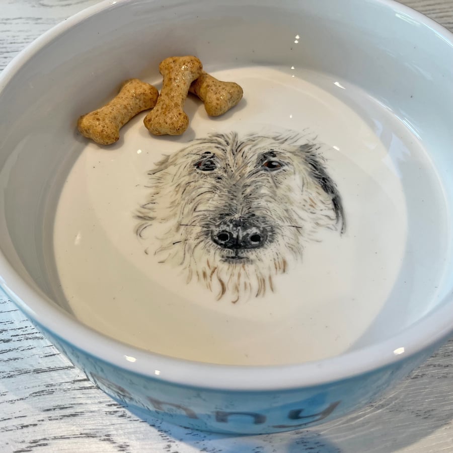 Pet portrait bowl, Ceramic hand painted pet bowl, Personalised pet gift