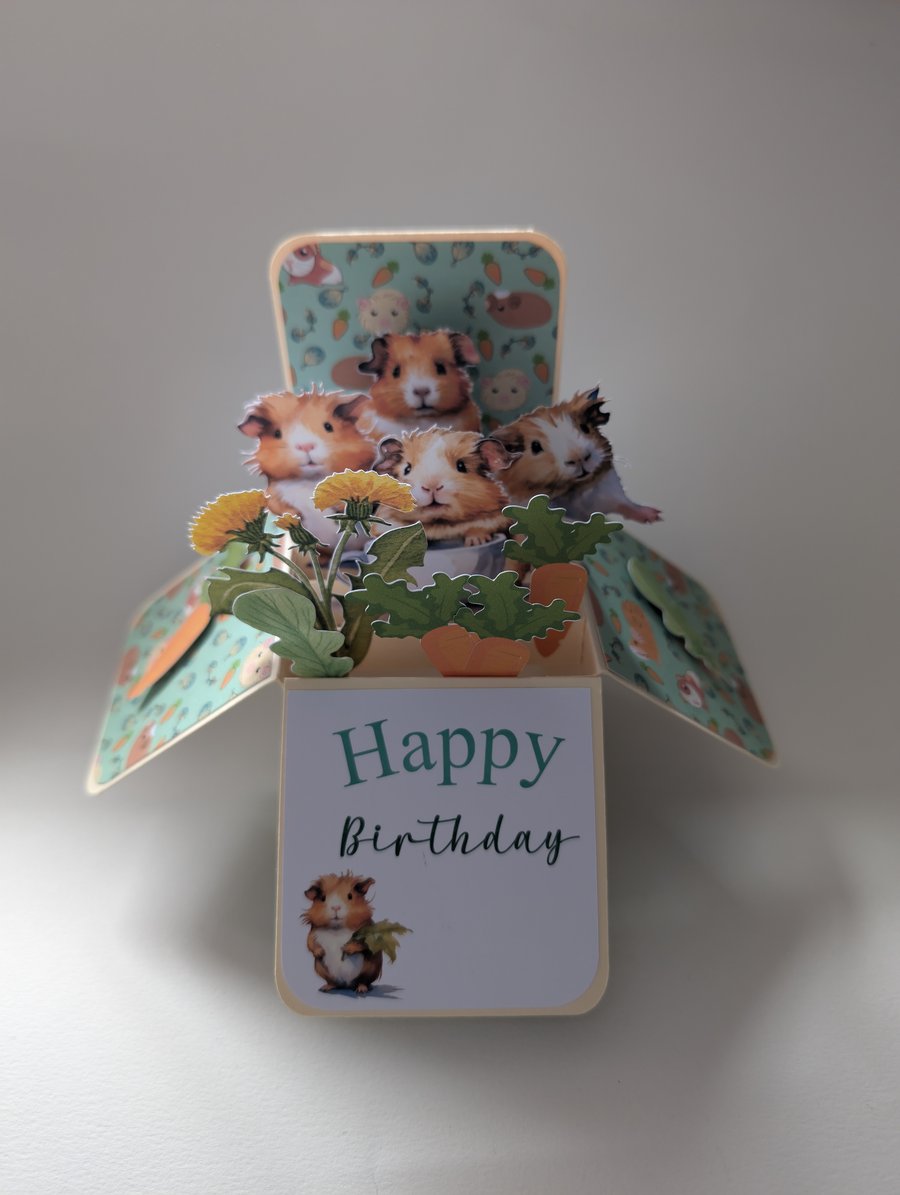 Guinea Pig Birthday Box Cards Kids Cards can be personalised