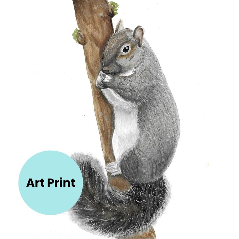 Squirrel art print, watercolour painting, available in A5