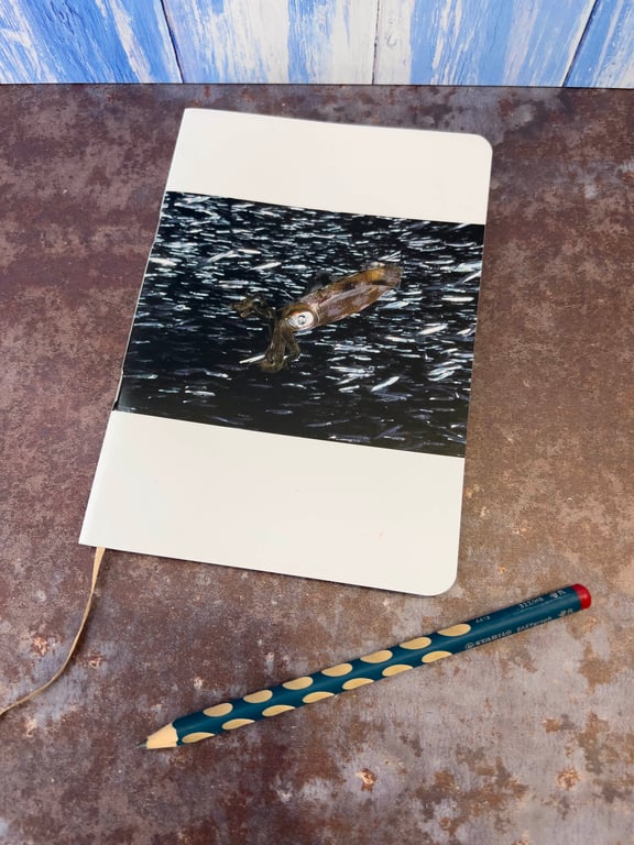 Notebook, Marine themed, A5 (ish), made from up-cycled and recycled materials.