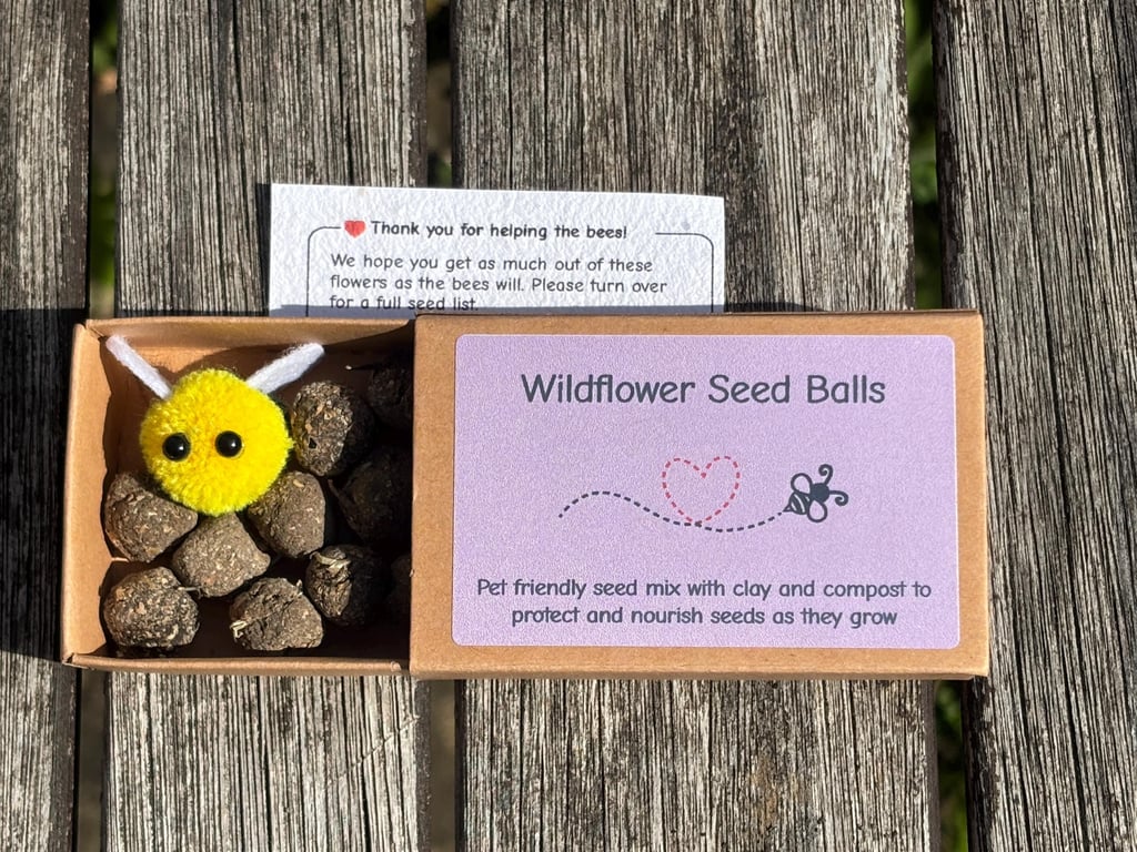 UK-Grown Pet Friendly Wildflower Seed balls Box of 16, each with 60 - 100 seeds
