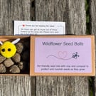 UK-Grown Pet Friendly Wildflower Seed balls Box of 16, each with 60 - 100 seeds