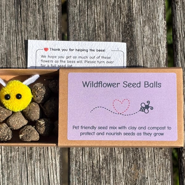 UK-Grown Pet Friendly Wildflower Seed balls Box of 16, each with 60 - 100 seeds