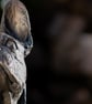 Sitting French Bulldog - Image 9