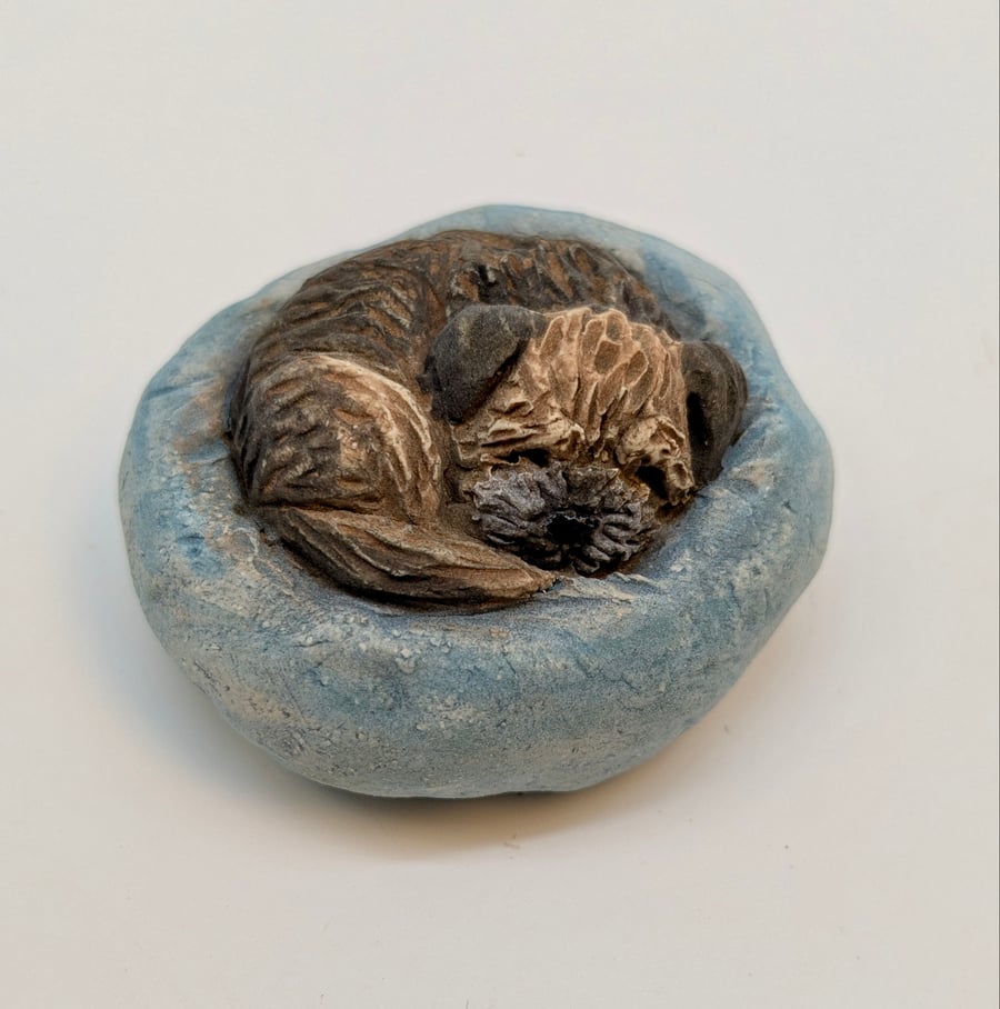 Yorkshire Pudding Border Terrier (blue bed)