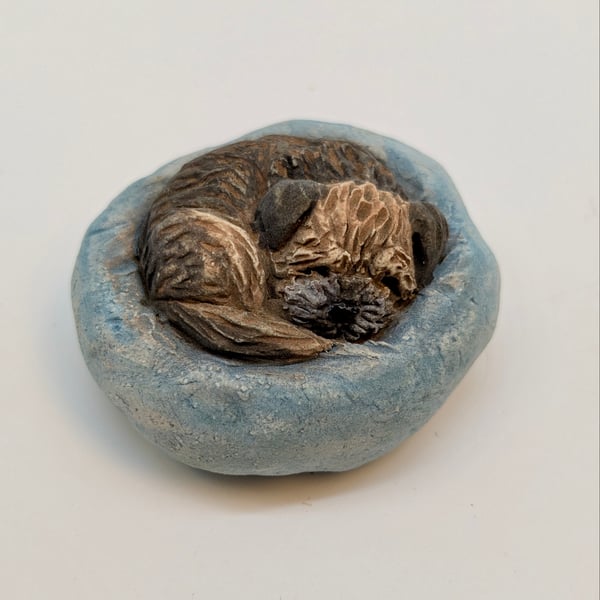 Yorkshire Pudding Border Terrier (blue bed)