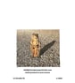 Giraffe; greetings card, blank inside and printed on card and handmade paper - Image 2