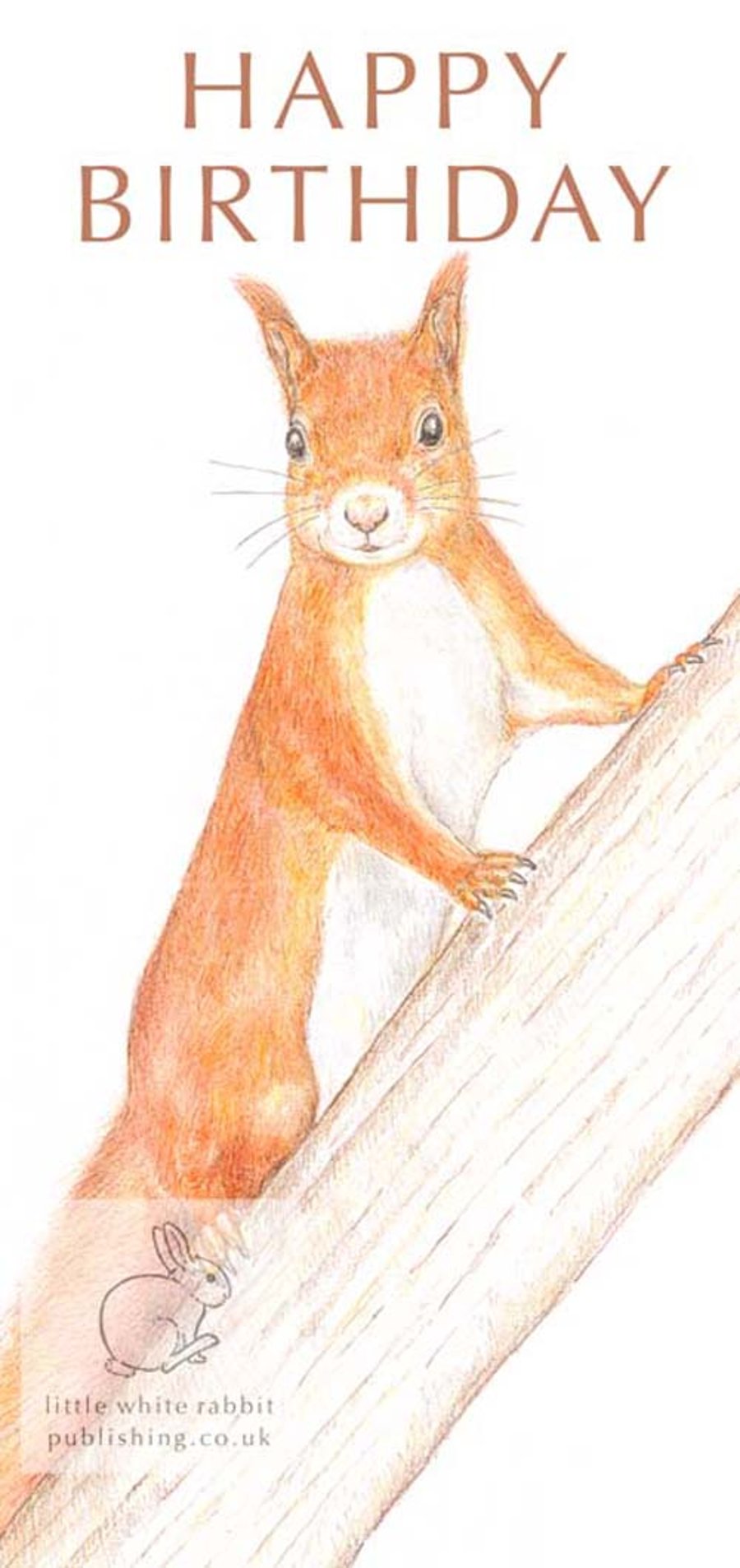 Red Squirrel - Birthday Card