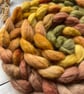 Pilgrims Path Spinning Fibre 100g Lammastide - Image 3
